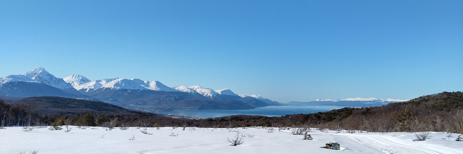 Leonardo Saravia banner