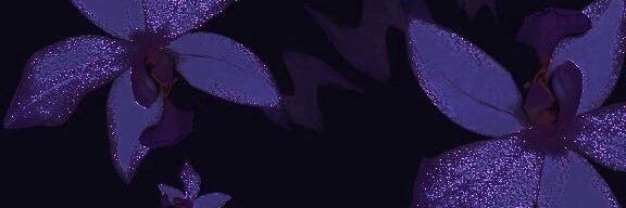 Maria's banner