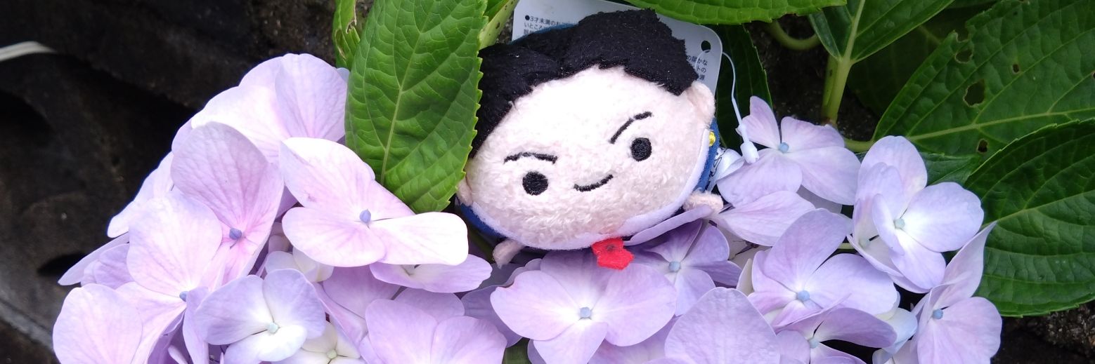 タマタマ🩷🩵 banner