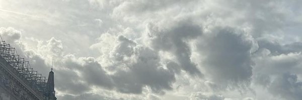 lauradang0 Profile Banner