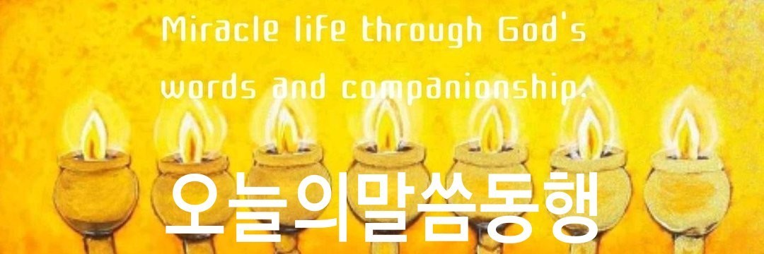 hanalsae1's profile banner image