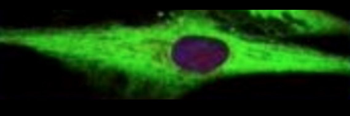 Jacob Stagray PhD banner