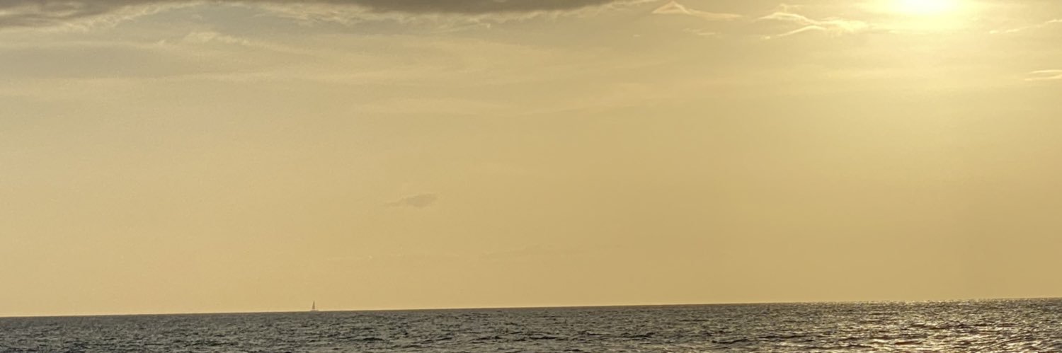 The Island Project - Digital Noah’s Ark banner