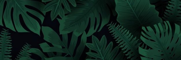 definitelynotshouting banner