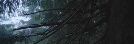 m4lu_funny's profile banner image