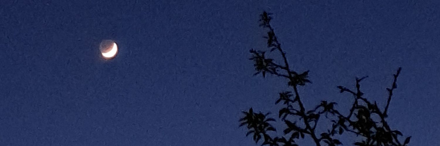 ashers_gf's profile banner image
