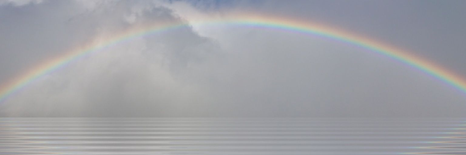 DideDart's profile banner image