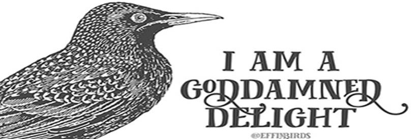 vacuousblond's profile banner image