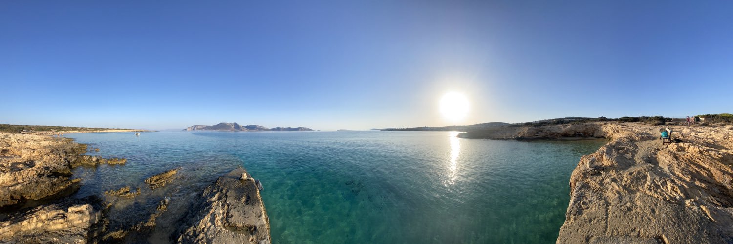 Sophia Exintaris 🍉 she/her banner