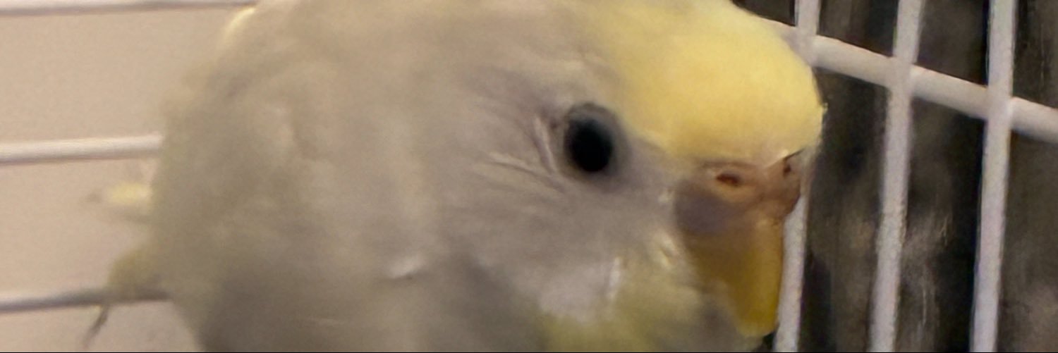 mirhand1's profile banner image