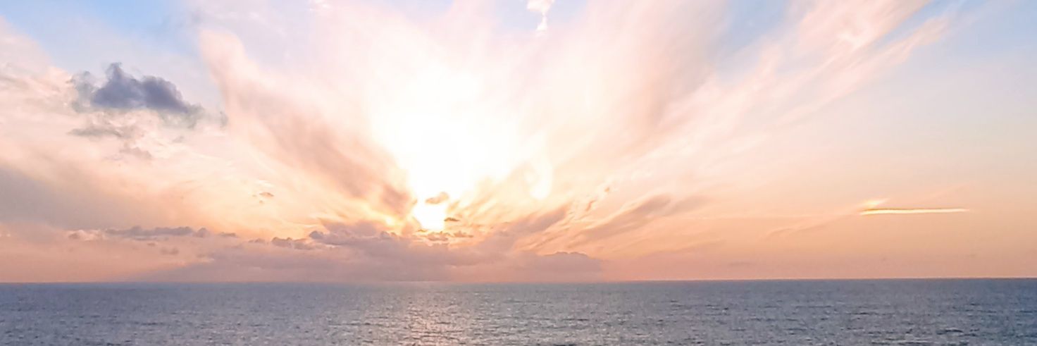 Lorraine Worsley- Carter MBE DL banner