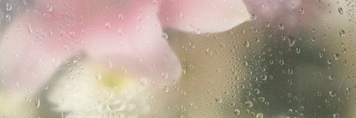 ꒰ หมิงหมิง ꒱ 𓈒 ทักไลน์เลยค้าบ ໒꒱ banner