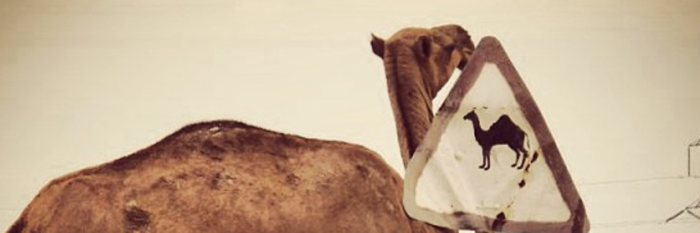 Evaristo Babé 🐙 banner