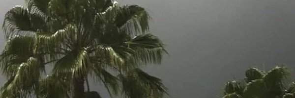 crystalkingpen Profile Banner