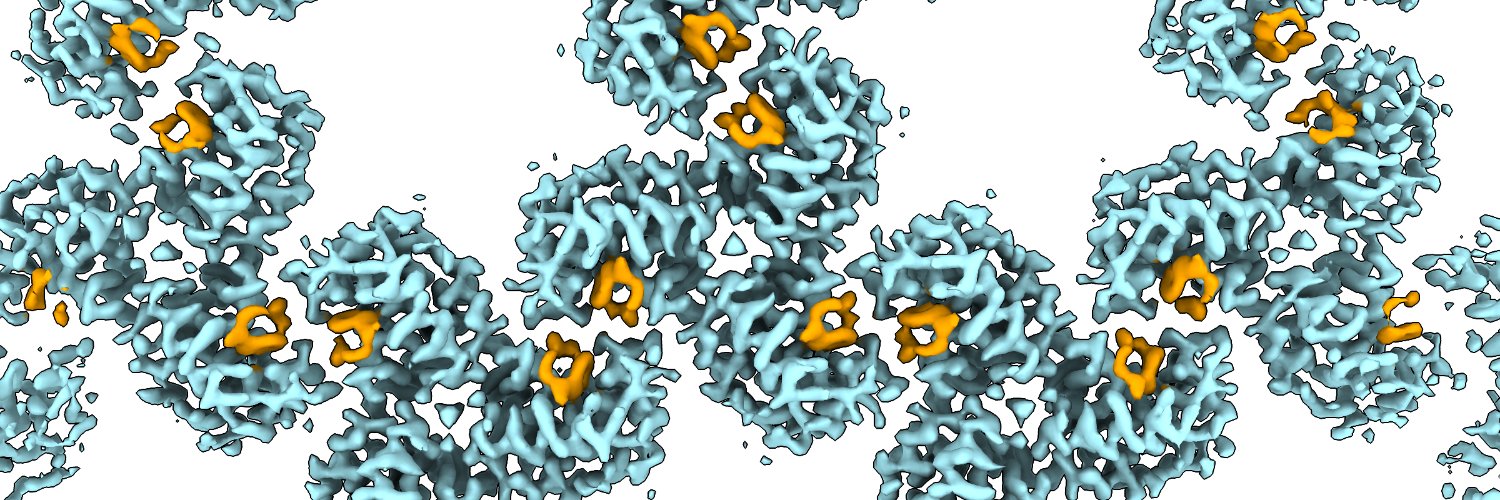 Dominik Hrebik banner