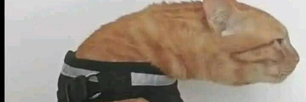 yunisdead Profile Banner
