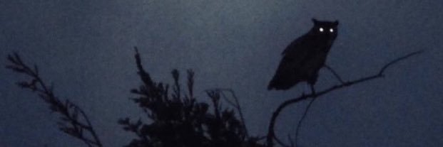 MattiasMachus's profile banner image