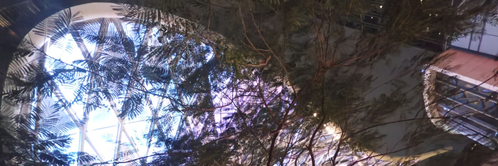 Hsingfar's profile banner image