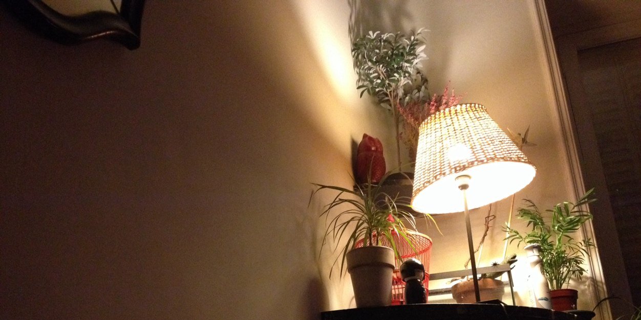 bambas's profile banner image