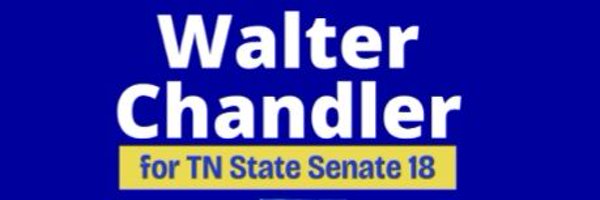 WalterChandler For TNSD18 Profile Banner
