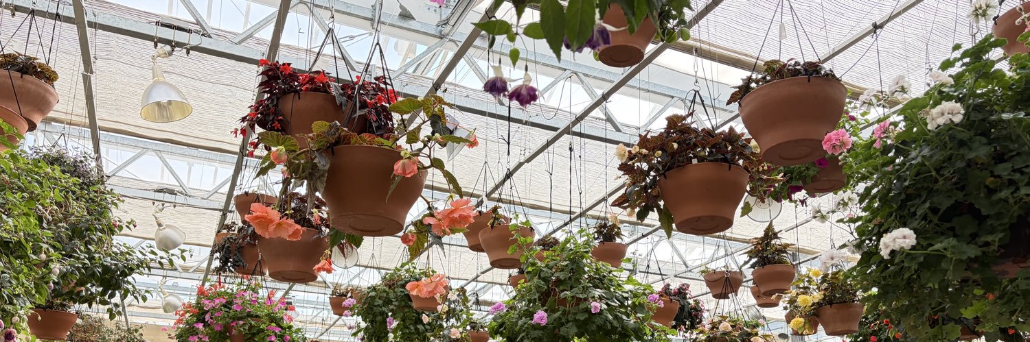 淺野 瑞月 banner