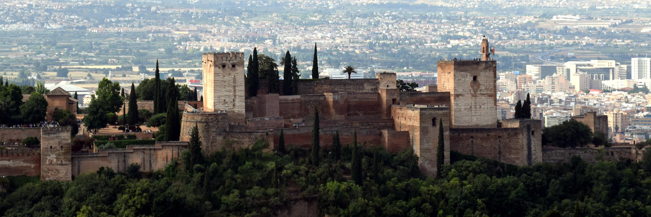 Carlos Castro banner