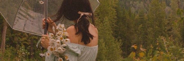 Lara banner