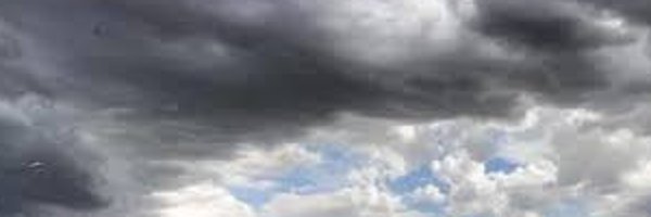 gio_li Profile Banner