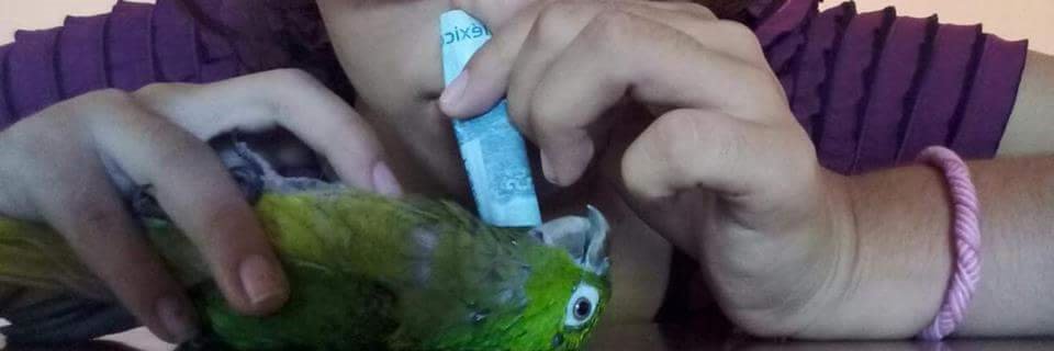 The_Periko_'s profile banner image