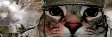 _OkAlexx_85's profile banner image