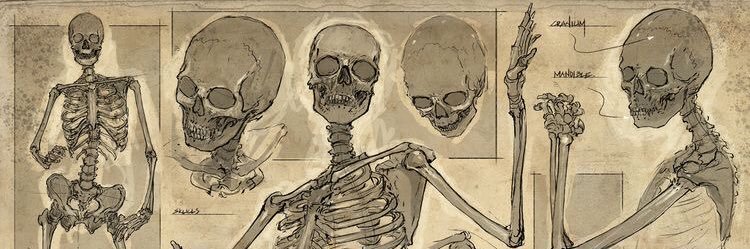 Sxe_ya's profile banner image