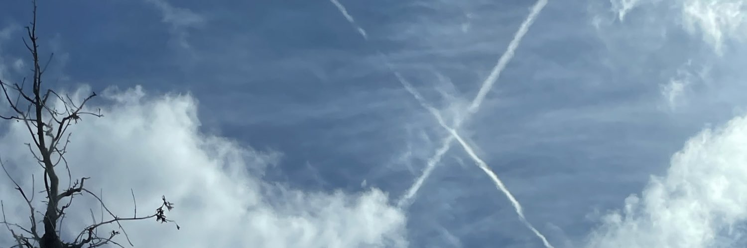HurutoS's profile banner image