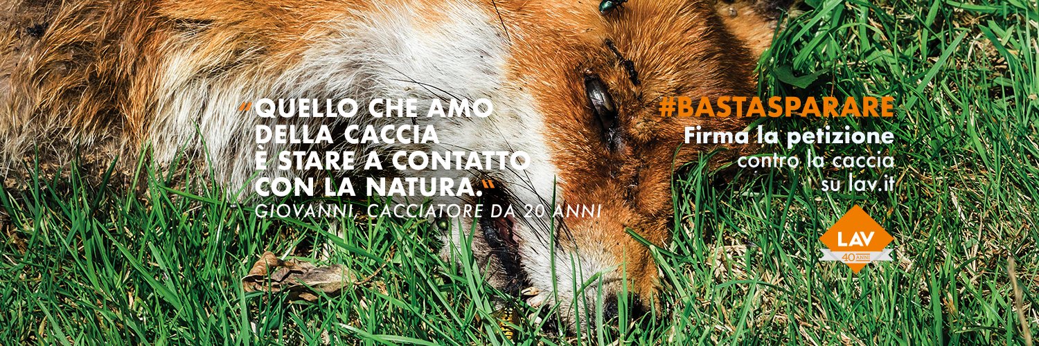 LAVacanza's profile banner image