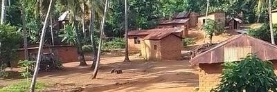 𝘼𝐥𝐞𝐱 banner