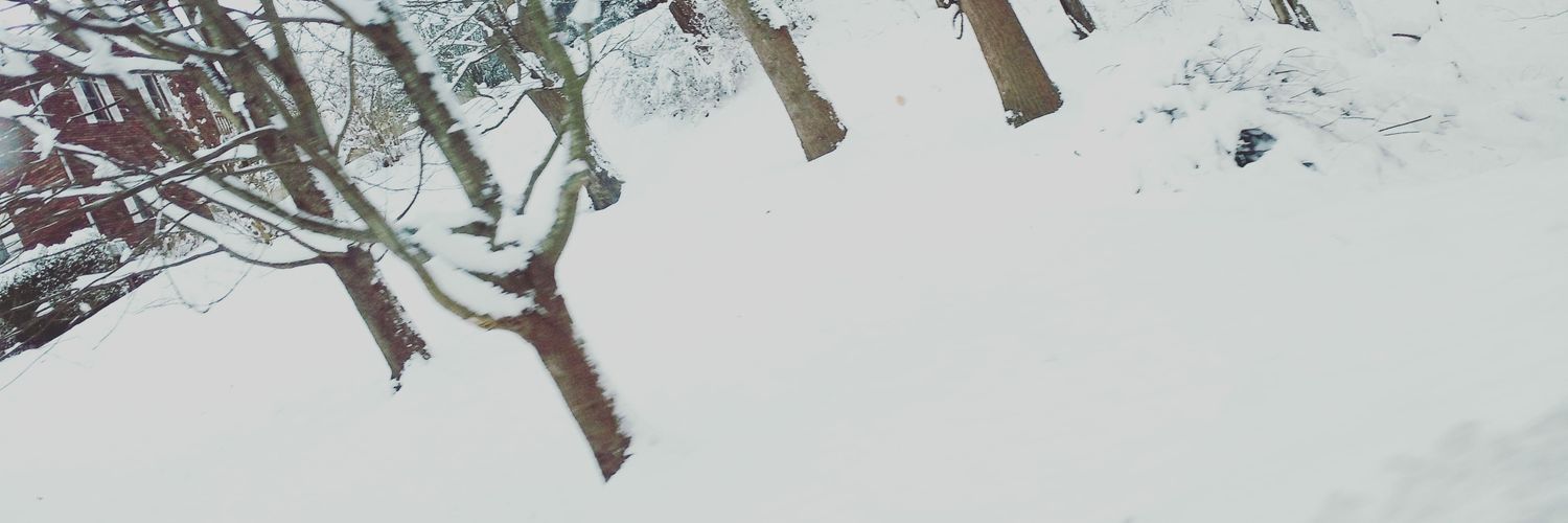 Poppyhatfield's profile banner image