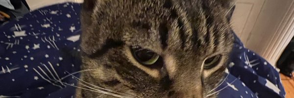 itsjessandart Profile Banner