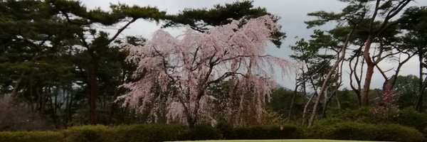 rie_takai Profile Banner