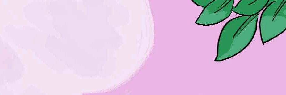 attitude.bnb 🦇🔊🧙‍♂️/acc (✧ᴗ✧) banner