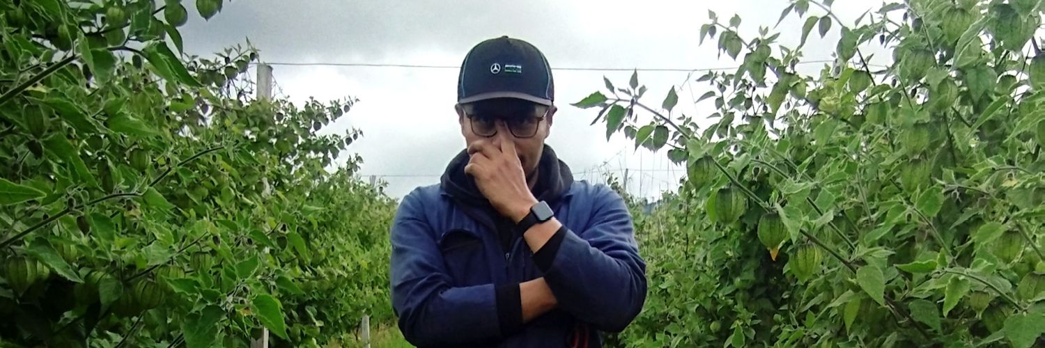 HaroldCh14's profile banner image