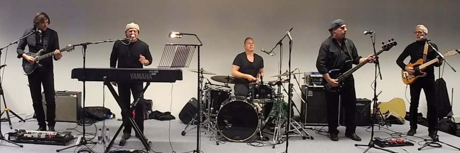 Frank J. Radice banner