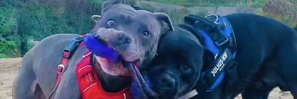 IsaMary2021 Profile Banner