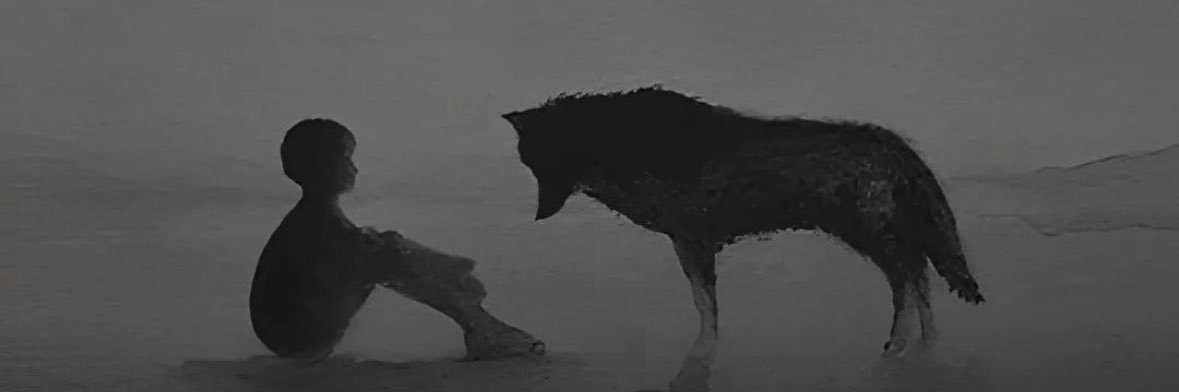 JancfoX's profile banner image