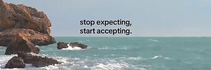 ︵‿₊୨ᰔ୧₊‿︵desirè 🐚 banner