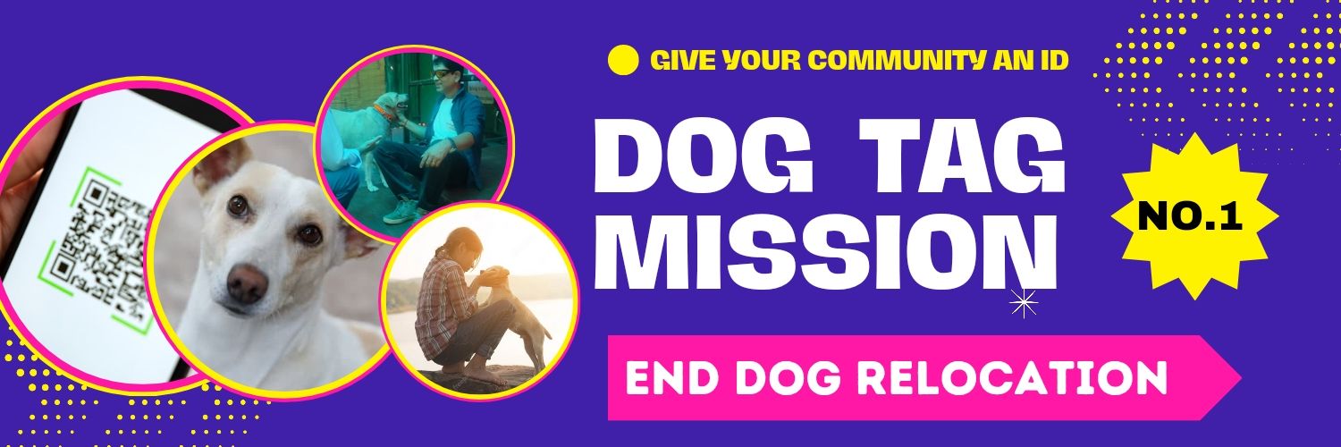Dog Tag Mission banner