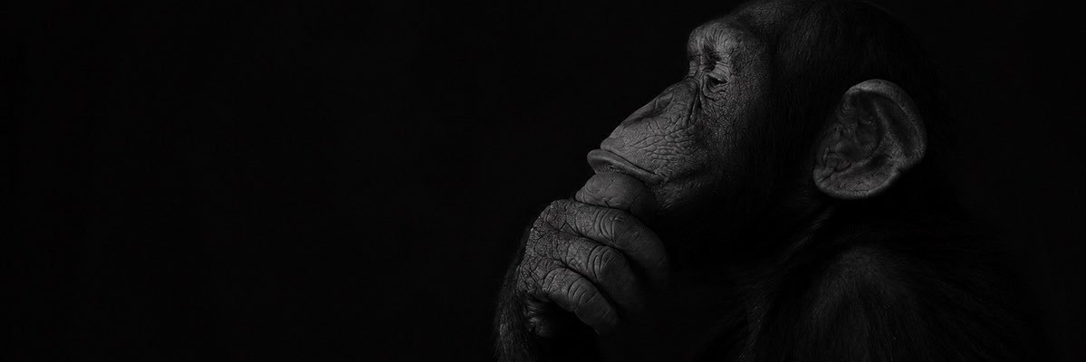 FpsPeak's profile banner image