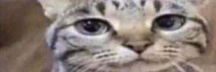 BuleRuby 🔞 banner