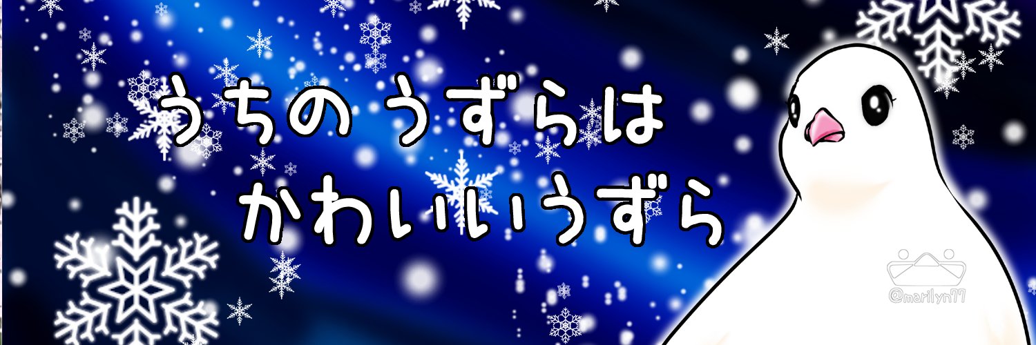 marilyn77's profile banner image