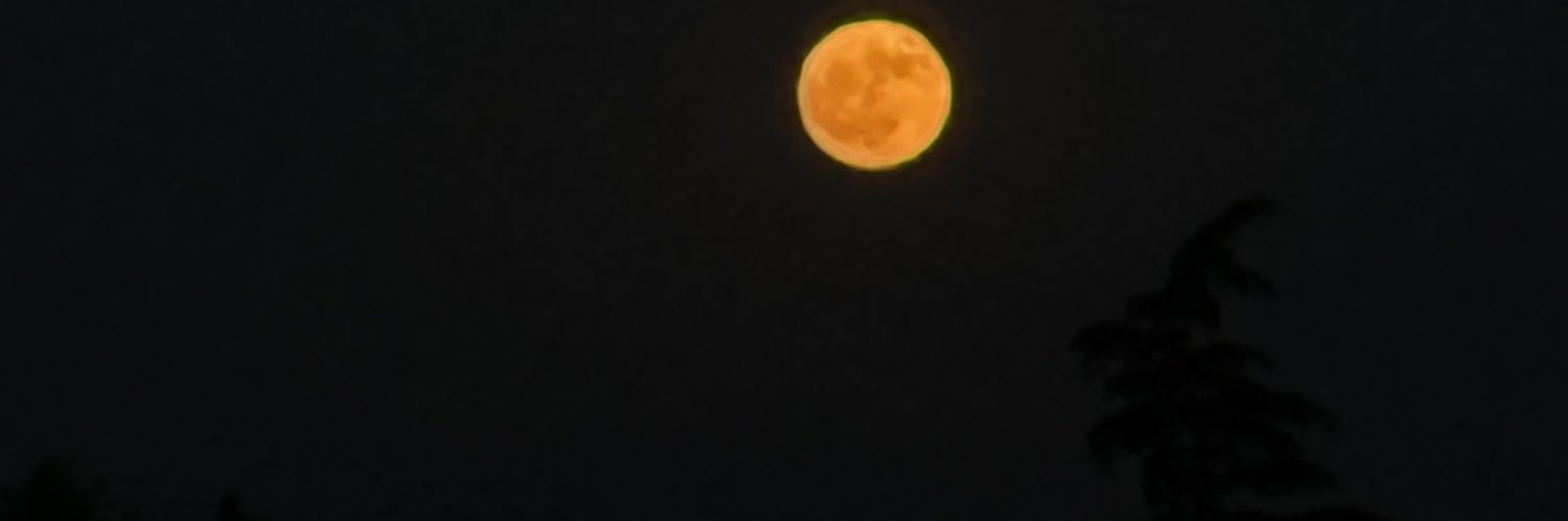 boshesapactim's profile banner image
