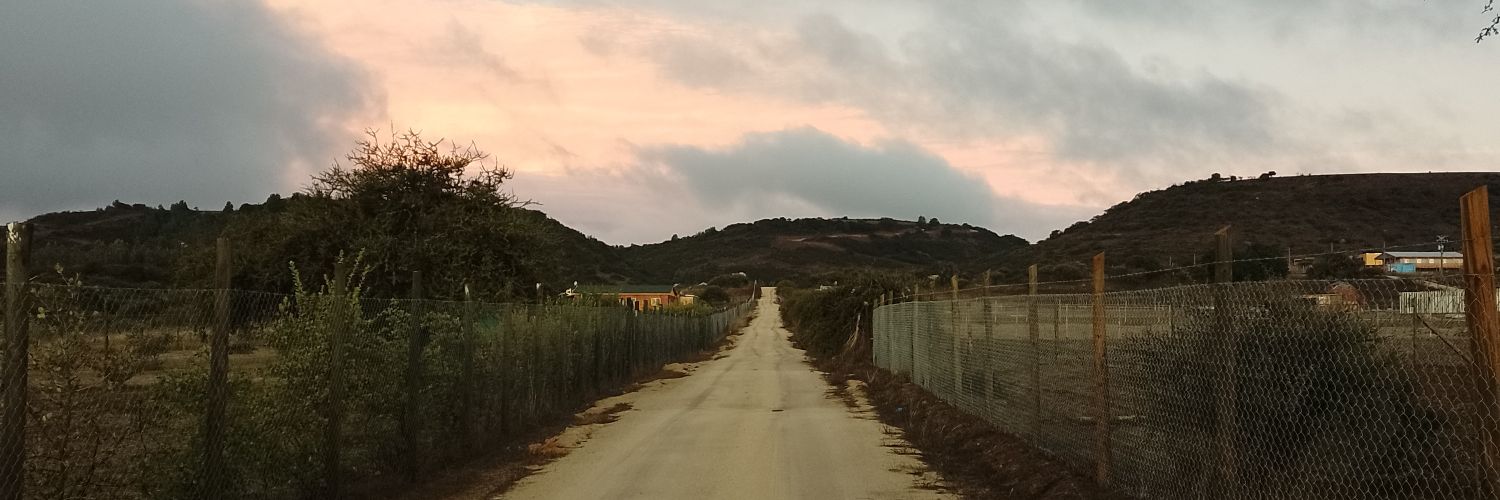 cllirape's profile banner image