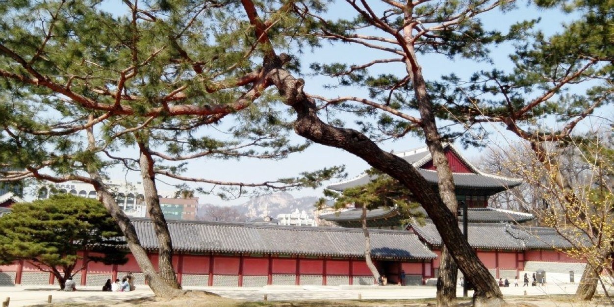 nunoohyuk's profile banner image